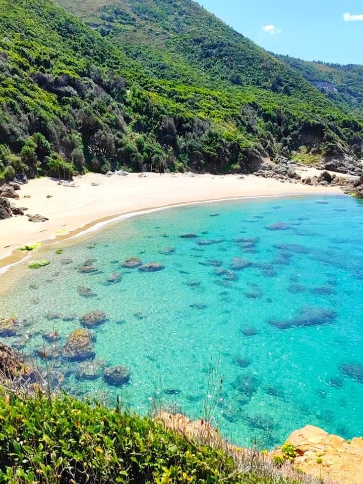 Oued Bibi
